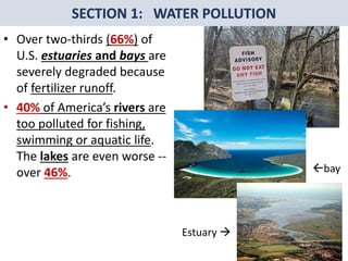 Mr. R.G. Estrella
• Over two-thirds (66%) of
U.S. estuaries and bays are
severely degraded because
of fertilizer runoff.
• 40% of America’s rivers are
too polluted for fishing,
swimming or aquatic life.
The lakes are even worse --
over 46%. bay
Estuary 
 