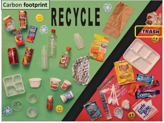 Mr. R.G. Estrella
Carbon footprint
 