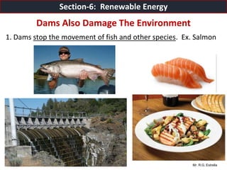 Mr. R.G. Estrella
Dams Also Damage The Environment
1. Dams stop the movement of fish and other species. Ex. Salmon
Section-6: Renewable Energy
 