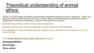 Theoretical understanding of animal
ethics:
There is a wide range of ethical assessments regarding animals used in research. There are
general opinions that animals do have a moral status and how they are treated should be
subjected to ethical consideration. Some of the positions include:
•Animals have intrinsic values that must be respected.
•Animals can feel pain and their interests must be taken into consideration.
•Our treatment of all animals/lab animals reflects on our attitudes and influences us on our
moral beings.
•The ethical theories which deal with them include:
Consequentialism:
Deontology:
Virtue ethics:
 