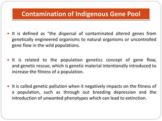 Contamination of Indigenous Gene Pool
 It is defined as “the dispersal of contaminated altered genes from
genetically engineered organisms to natural organisms or uncontrolled
gene flow in the wild populations.
 It is related to the population genetics concept of gene flow,
and genetic rescue, which is genetic material intentionally introduced to
increase the fitness of a population.
 It is called genetic pollution when it negatively impacts on the fitness of
a population, such as through out breeding depression and the
introduction of unwanted phenotypes which can lead to extinction.
 