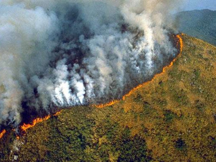 Environmental issues of latin america