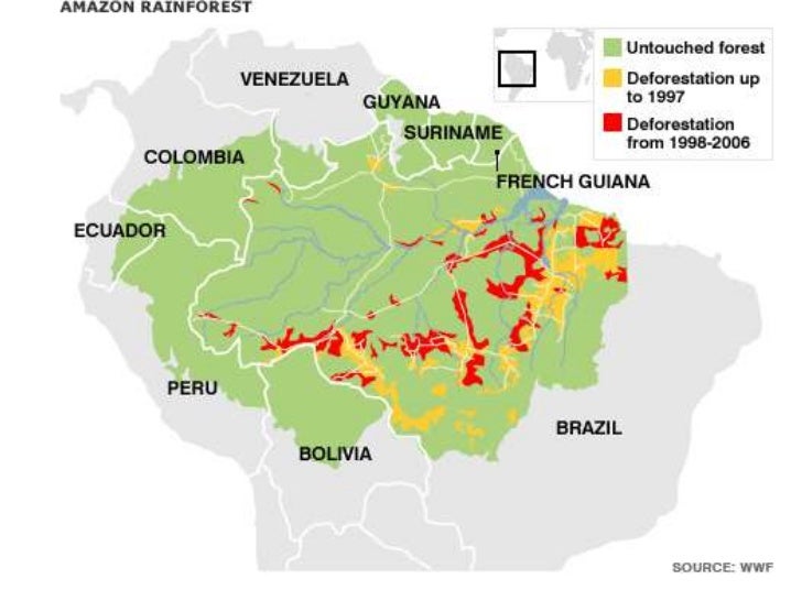 Environmental issues of latin america