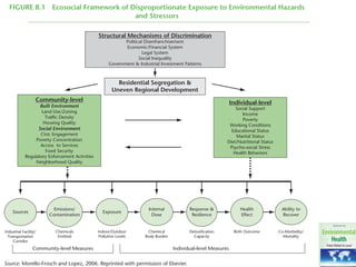 FIGURE 8.1 Ecosocial Framework of Disproportionate Exposure to Environmental Hazards
and Stressors
Source: Morello-Frosch and Lopez, 2006. Reprinted with permission of Elsevier.
Sources
Emissions/
Contamination
Exposure
Internal
Dose
Health
Effect
Industrial Facility/
Transportation
Corridor
Chemicals
Emitted
Indoor/Outdoor
Pollution Levels
Chemical
Body Burden
Birth Outcome
Community-level Measures Individual-level Measures
Community-level
Built Environment
Land Use/Zoning
Traffic Density
Housing Quality
Social Environment
Civic Engagement
Poverty Concentration
Access to Services
Food Security
Regulatory Enforcement Activities
Neighborhood Quality
Individual-level
Social Support
Income
Poverty
Working Conditions
Educational Status
Marital Status
Diet/Nutritional Status
Psycho-social Stress
Health Behaviors
Response &
Resilience
Detoxification
Capacity
Structural Mechanisms of Discrimination
Political Disenfranchisement
Economic/Financial System
Legal System
Social Inequality
Government & Industrial Investment Patterns
Ability to
Recover
Co-Morbidity/
Mortality
Residential Segregation &
Uneven Regional Development
 