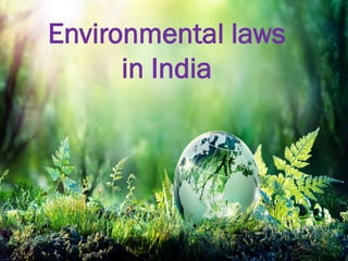 Environmental laws
in India
 