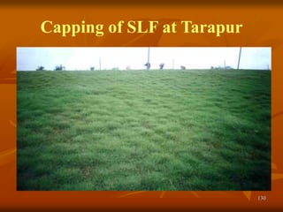130
Capping of SLF at Tarapur
 