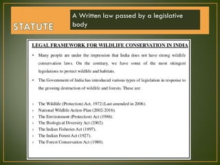 A Written law passed by a legislative
body
 