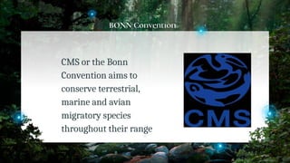 BONN Convention
CMS or the Bonn
Convention aims to
conserve terrestrial,
marine and avian
migratory species
throughout their range
10
 
