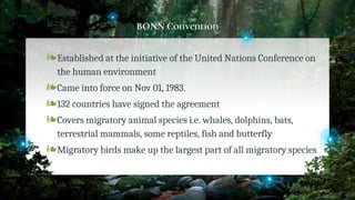 BONN Convention
❧Established at the initiative of the United Nations Conference on
the human environment
❧Came into force on Nov 01, 1983.
❧132 countries have signed the agreement
❧Covers migratory animal species i.e. whales, dolphins, bats,
terrestrial mammals, some reptiles, fish and butterfly
❧Migratory birds make up the largest part of all migratory species
12
 