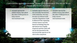 Convention on International Trade in Endangered Species of Wild
Fauna and Flora (CITES)
 Includes species for
which country has asked
the other CITES parties to
help control
international trade.
 Includes species that are
not currently threatened
with extinction, but may
become so without trade
controls. Regulatory trade
is allowed if the exporting
country issues a permit
based on findings that the
specimens were legally
acquired and the trade will
not be detrimental to the
survival of the species or its
role in the ecosystem
 Includes species for
which country has asked
the other CITES parties to
help control
international trade.
25
 