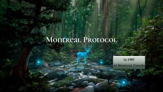 Montreal Protocol
In 1987
At Montreal, Canada
 