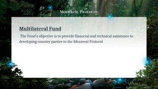 Montreal Protocol
Multilateral Fund
The Fund's objective is to provide financial and technical assistance to
developing country parties to the Montreal Protocol
38
 