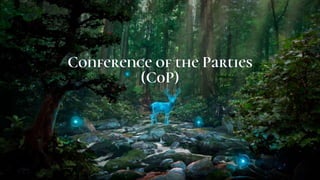 Conference of the Parties
(C0P)
 