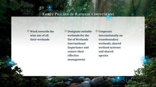 Three Pillars of Ramsar Convention
Work towards the
wise use of all
their wetlands
Designate suitable
wetlands for the
list of Wetlands
International
Importance and
ensure their
effective
management
Cooperate
internationally on
transboundary
wetlands, shared
wetland systems
and shared
species
7
 