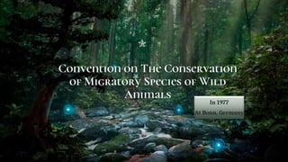 Convention on The Conservation
of Migratory Species of Wild
Animals
In 1977
At Bonn, Germany
9
 