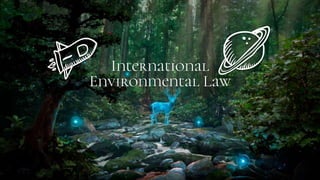International
Environmental Law
 