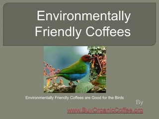 Environmentally
Friendly Coffees
Environmentally Friendly Coffees are Good for the Birds
 