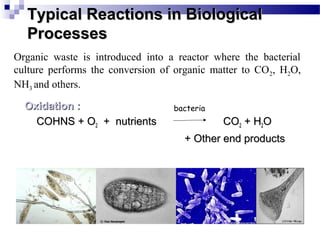 products | misc. and other products Images High... Environmentally friendly techniques in Textiles | PPT