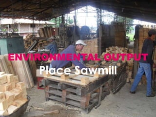 ENVIRONMENTAL OUTPUTPlace Sawmill 