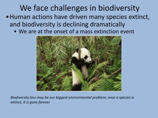 We face challenges in biodiversity
•Human actions have driven many species extinct,
and biodiversity is declining dramatically
• We are at the onset of a mass extinction event
Biodiversity loss may be our biggest environmental problem; once a species is
extinct, it is gone forever
 
