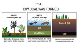 COAL
 