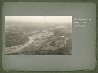 The Colorado river 
in the US of A 
running dry. 
 