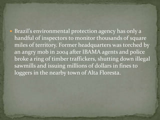  Brazil’s environmental protection agency has only a 
handful of inspectors to monitor thousands of square 
miles of territory. Former headquarters was torched by 
an angry mob in 2004 after IBAMA agents and police 
broke a ring of timber traffickers, shutting down illegal 
sawmills and issuing millions of dollars in fines to 
loggers in the nearby town of Alta Floresta. 
 