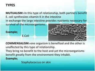 TYPES
MUTUALISM:-In this type of relationship, both partners benefit
E. coli synthesizes vitamin K in the intestine
in exchange the large intestine provides nutrients necessary for
survival of the microorganisms.
Example;
E.Coli
COMMENSALISM:-one organism is benefited and the other is
unaffected by this type of relationship.
They bring no benefit to the host and yet the microorganisms
benefit greatly from the environment they inhabit.
Example;
Staphylococcus on skin
 