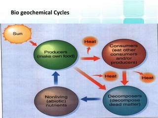 Bio geochemical Cycles
 