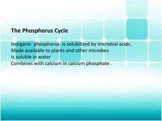 The Phosphorus Cycle
Inorganic phosphorus is solubilized by microbial acids.
Made available to plants and other microbes
Is soluble in water
Combines with calcium in calcium phosphate .
 