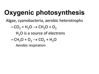 Oxygenic photosynthesis
Algae, cyanobacteria, aerobic heterotrophs
–CO2 + H2O  CH2O + O2
H2O is a source of electrons
–CH2O + O2  CO2 + H2O
Aerobic respiration
 