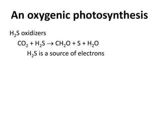 An oxygenic photosynthesis
H2S oxidizers
CO2 + H2S  CH2O + S + H2O
H2S is a source of electrons
 