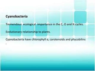 Cyanobacteria
Tremendous ecological importance in the C, O and N cycles.
Evolutionary relationship to plants.
Cyanobacteria have chlorophyll a, carotenoids and phycobilins
.
 