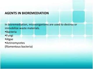 AGENTS IN BIOREMEDIATION
In bioremediation, microorganisms are used to destroy or
immobilize waste materials.
Bacteria
Fungi
Algae
Actinomycetes
(filamentous bacteria)
 