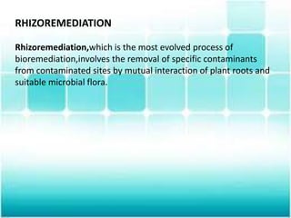 RHIZOREMEDIATION
Rhizoremediation,which is the most evolved process of
bioremediation,involves the removal of specific contaminants
from contaminated sites by mutual interaction of plant roots and
suitable microbial flora.
 