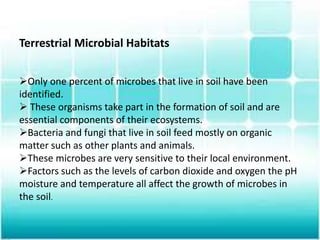 Terrestrial Microbial Habitats
Only one percent of microbes that live in soil have been
identified.
 These organisms take part in the formation of soil and are
essential components of their ecosystems.
Bacteria and fungi that live in soil feed mostly on organic
matter such as other plants and animals.
These microbes are very sensitive to their local environment.
Factors such as the levels of carbon dioxide and oxygen the pH
moisture and temperature all affect the growth of microbes in
the soil.
 