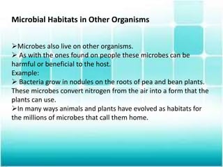 Microbial Habitats in Other Organisms
Microbes also live on other organisms.
 As with the ones found on people these microbes can be
harmful or beneficial to the host.
Example:
 Bacteria grow in nodules on the roots of pea and bean plants.
These microbes convert nitrogen from the air into a form that the
plants can use.
In many ways animals and plants have evolved as habitats for
the millions of microbes that call them home.
 