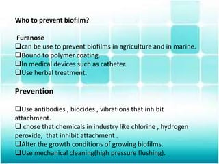 Who to prevent biofilm?
Furanose
can be use to prevent biofilms in agriculture and in marine.
Bound to polymer coating.
In medical devices such as catheter.
Use herbal treatment.
Prevention
Use antibodies , biocides , vibrations that inhibit
attachment.
 chose that chemicals in industry like chlorine , hydrogen
peroxide, that inhibit attachment .
Alter the growth conditions of growing biofilms.
Use mechanical cleaning(high pressure flushing).
 