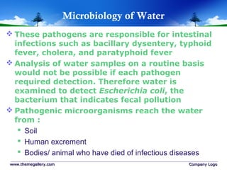 Microbiology of Water
 These pathogens are responsible for intestinal
infections such as bacillary dysentery, typhoid
fever, cholera, and paratyphoid fever
 Analysis of water samples on a routine basis
would not be possible if each pathogen
required detection. Therefore water is
examined to detect Escherichia coli, the
bacterium that indicates fecal pollution
 Pathogenic microorganisms reach the water
from :
 Soil
 Human excrement
 Bodies/ animal who have died of infectious diseases
www.themegallery.comwww.themegallery.com Company LogoCompany Logo
 