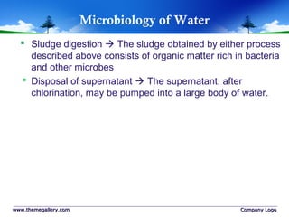Microbiology of Water
 Sludge digestion  The sludge obtained by either process
described above consists of organic matter rich in bacteria
and other microbes
 Disposal of supernatant  The supernatant, after
chlorination, may be pumped into a large body of water.
www.themegallery.comwww.themegallery.com Company LogoCompany Logo
 