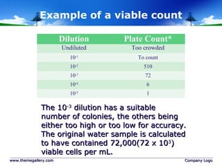 Example of a viable count
www.themegallery.comwww.themegallery.com Company LogoCompany Logo
Dilution Plate Count*
Undiluted Too crowded
10-1
To count
10-2
510
10-3
72
10-4
6
10-5
1
The 10The 10-3-3
dilution has a suitabledilution has a suitable
number of colonies, the others beingnumber of colonies, the others being
either too high or too low for accuracy.either too high or too low for accuracy.
The original water sample is calculatedThe original water sample is calculated
to have contained 72,000(72 x 10to have contained 72,000(72 x 1033
))
viable cells per mL.viable cells per mL.
 