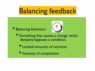 Balancing feedback
B
• Balancing behaviour
• Something that causes a change which
dampens/opposes a condition,
• Limited amounts of nutrients
• Intensity of competition
 