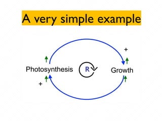 A very simple example
+
Photosynthesis R
+
Growth
 