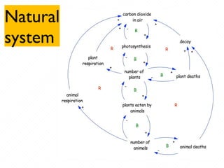 Natural
system
 