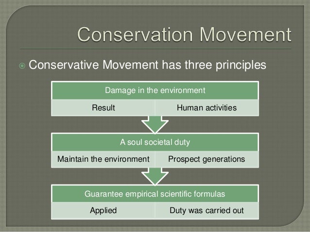 Environmental movement in the us