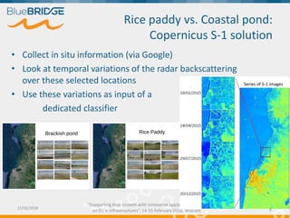 "Supporting Blue Growth with innovative applications based
on EU e-infrastructures”, 14-15 February 2018, Brussels
Rice pa...
