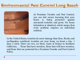 At Premium Termite and Pest Control,
you can feel secure knowing that your
home is being protected against
unwanted termites and pests. No home
infestation is identical, which means that
every problem requires an individual
solution.
In the United States, termites do more damage than fires, floods, and
earthquakes combined. termites eat your home 24 hours a day, 7
days a week. There are two, no three, types of homes in Southern
California. . . Those that have termites, those that will have termites,
and those that are protected by a Premium Termite and Pest Control
Policy.
 