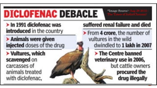  In 1997- decline in the population of the Asian
white- backed vulture (Gyps bengalensis) and
Indian vultures (Gyps indicus) nesting in
Keoladeo Natural Park in North Western India.
 It was observed that they die after feeding on
cattle treated with Diclofenac, which was used
by veterinary doctors to treat cattle.
 Because of lack of proper detoxification pathway
for diclofenac in vultures, it’s ingestion leads to
visceral gout and subsequent renal failure and
death.
 This prompted the Indian Government to ban
the drug ‘diclofenac’ for veterinary use in 2006.
 The vulture population drastically reduced over
the years from 150 in 1997 to 25 in 2010.
*Image Source:- Aug 29 2015 :
The Times of India(Chennai)
 