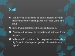  Soil is often considered an abiotic factor since it is
mostly made up of small particles of rock (sand and
clay)
 mixed with decomposed plants and animals.
 Plants use their roots to get water and nutrients from
the soil.
 Soils are different from place to place so this can be a
big factor in which plants growth of a certain area
depend
 