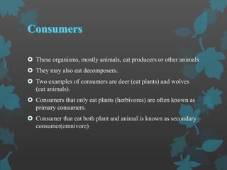  These organisms, mostly animals, eat producers or other animals
 They may also eat decomposers.
 Two examples of consumers are deer (eat plants) and wolves
(eat animals).
 Consumers that only eat plants (herbivores) are often known as
primary consumers.
 Consumer that eat both plant and animal is known as secondary
consumer(omnivore)
 